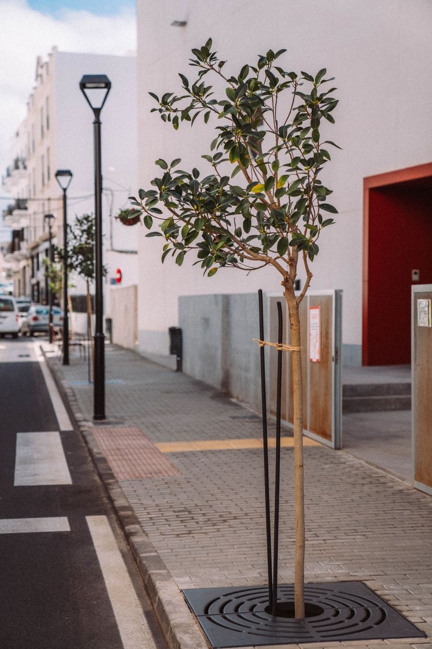 Imagen de transformación urbana de un sector de la calle La Inés, con el nuevo modelo de intervención urbana del grupo de Gobierno de Arrecife