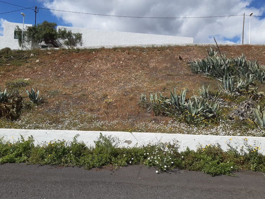 recogida vertidos en MB 1 (5)