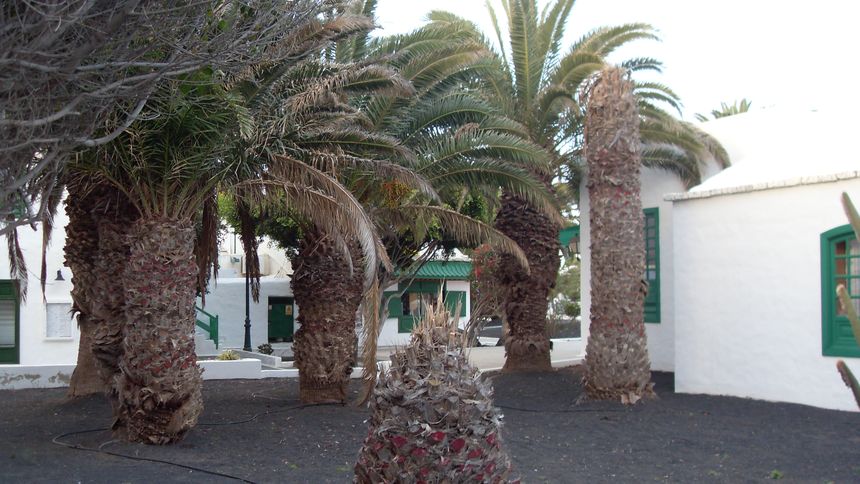 VLUU L100, M100  / Samsung L100, M100