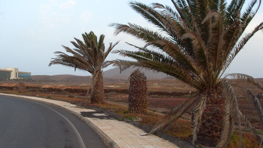 VLUU L100, M100  / Samsung L100, M100