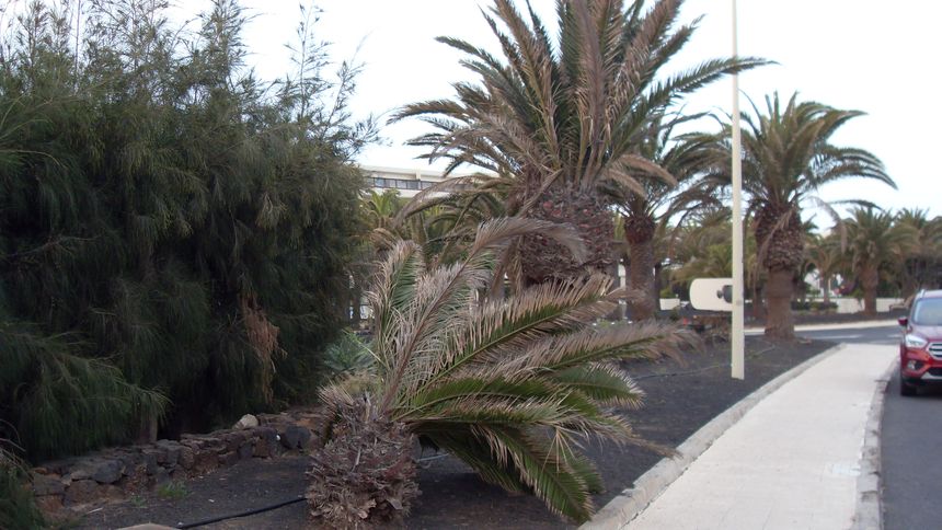 VLUU L100, M100  / Samsung L100, M100