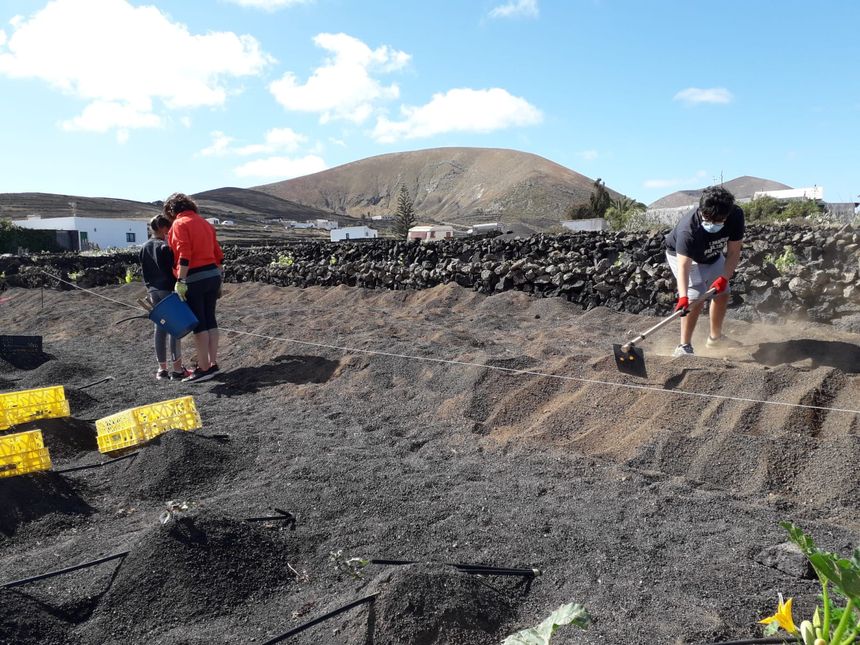 d0636145-d810-4e16-b509-b269112a623c