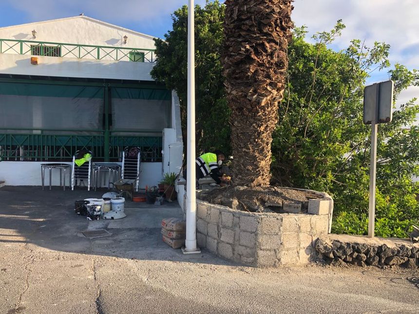 REPARACIOìN TEGUISE 3