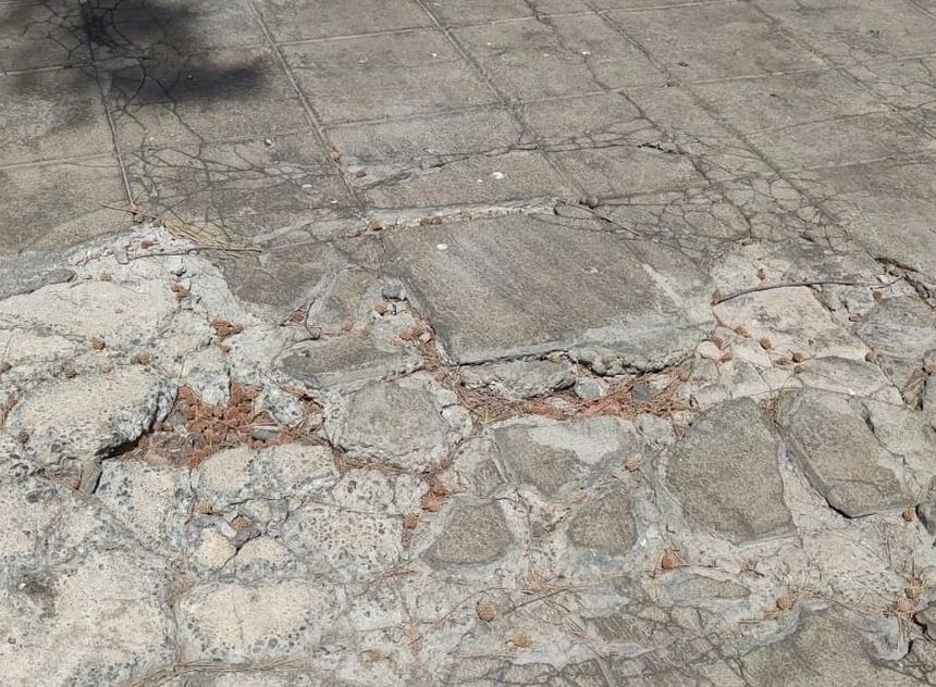 WhatsApp Image 2021-05-13 at 15.40.02