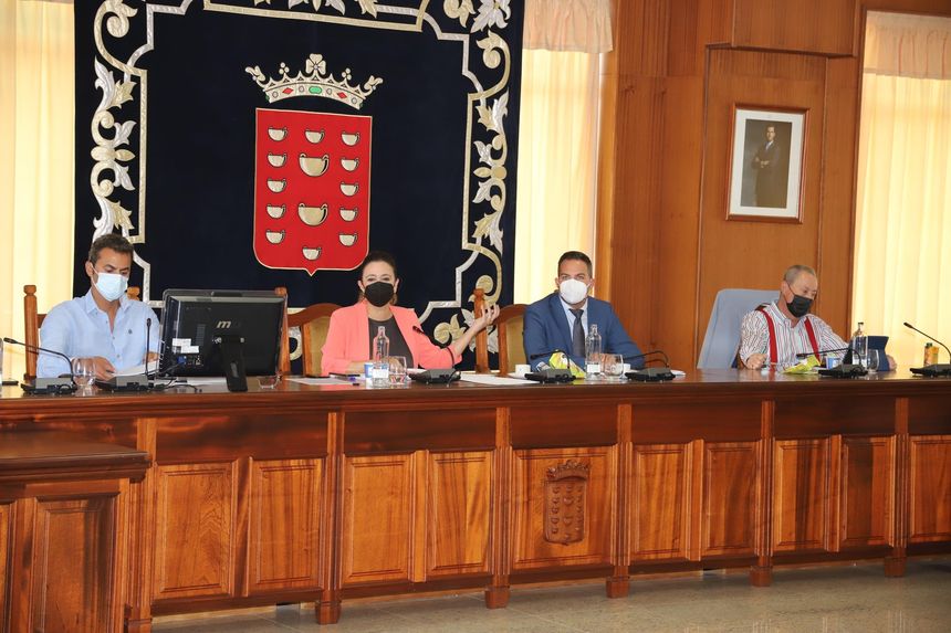 Pleno ordinario Cabildo-ABRIL (330) (Copy)