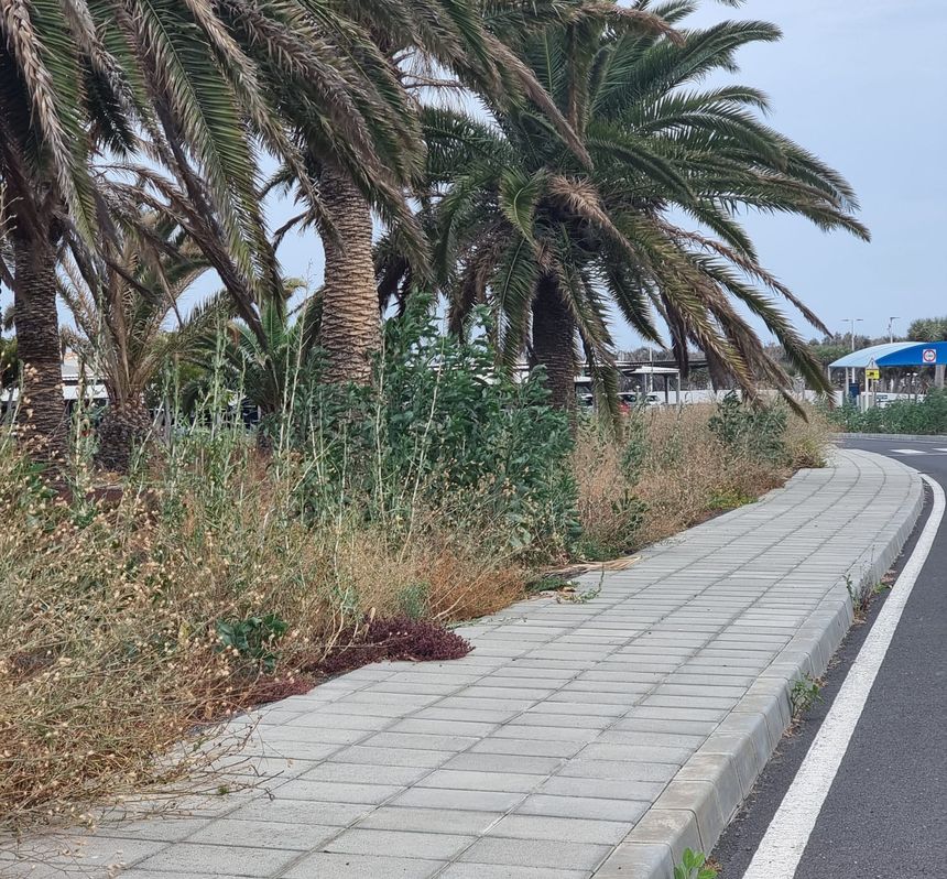 1485dbb6-23fa-48bb-879f-260211b723be