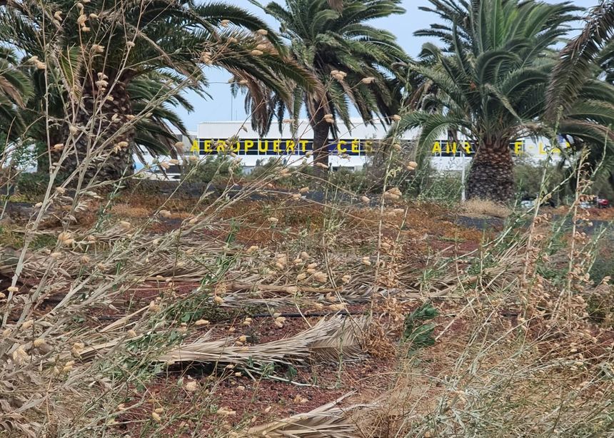 e2829265-c363-4ff4-9734-c698cc0dd477