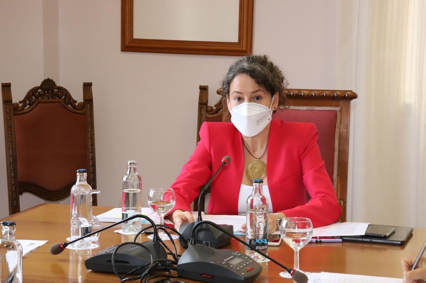 Comisión Insular de Patrimonio Cultural (2)