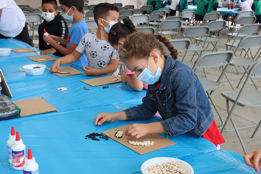 DH FotógrafaIMG_0192