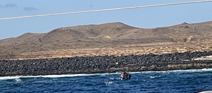 patera domingo cuatro