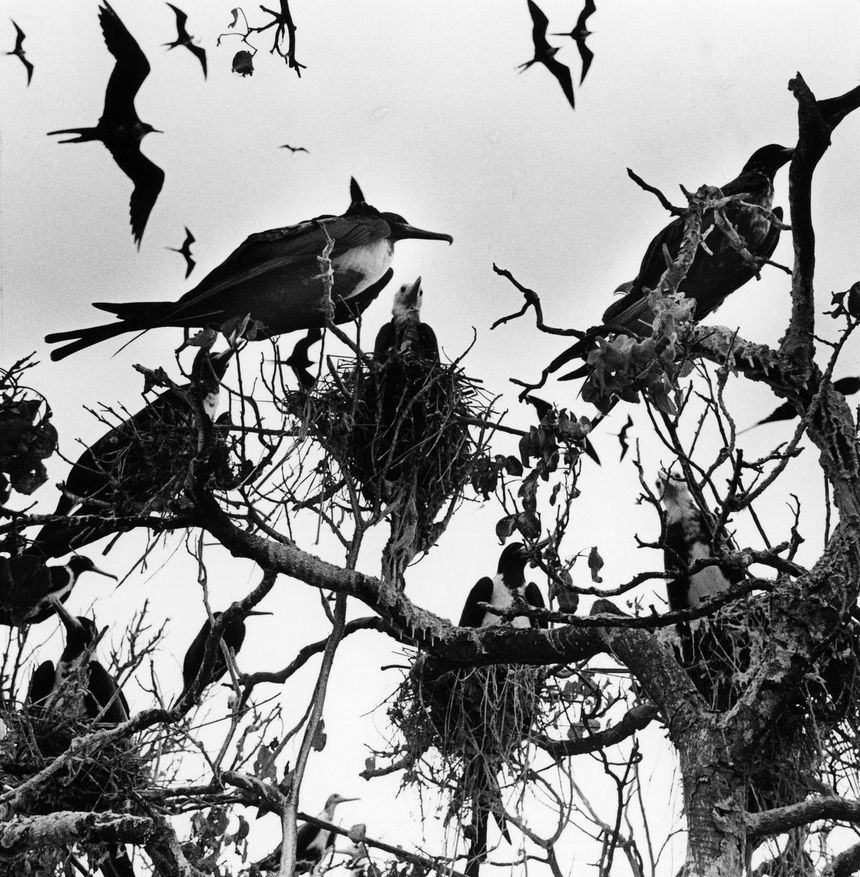 gracielaiturbide_veintinuevetrece