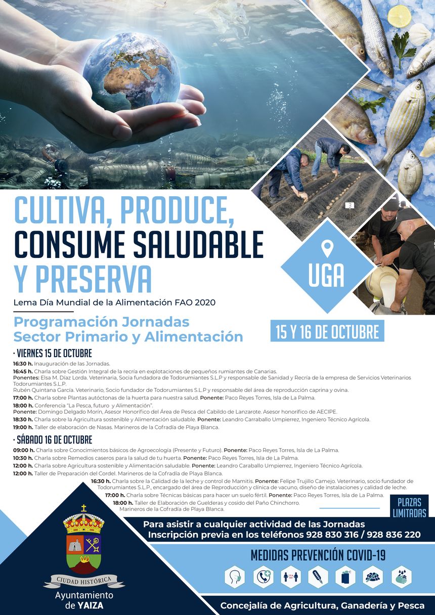 Programa en formato imagen