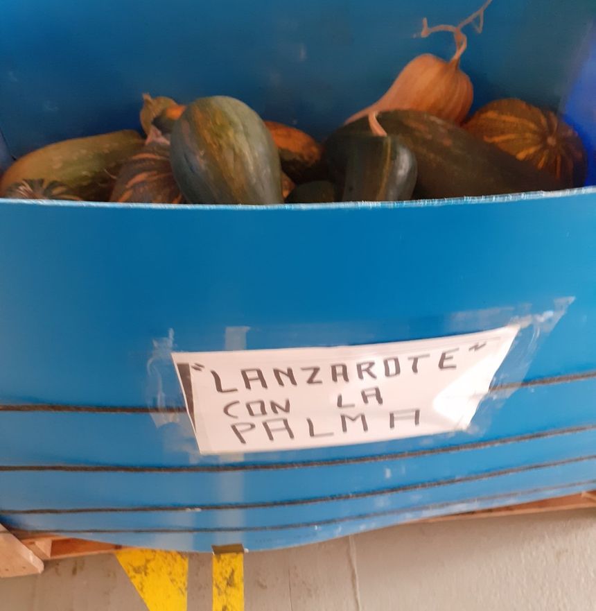 thumbnail_20211014_120835_resized