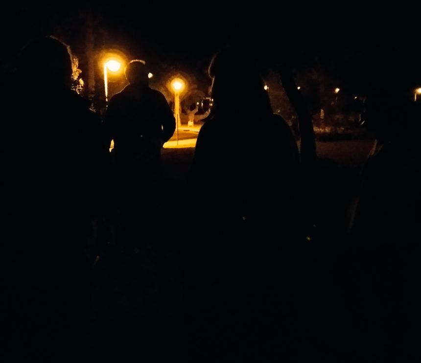 lanzaroteenpie_arrecife_parque_canino (6)