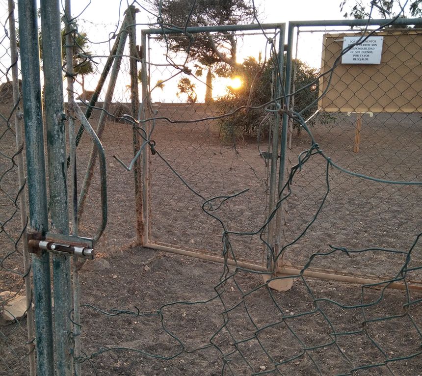 lanzaroteenpie_arrecife_parque_canino (3)