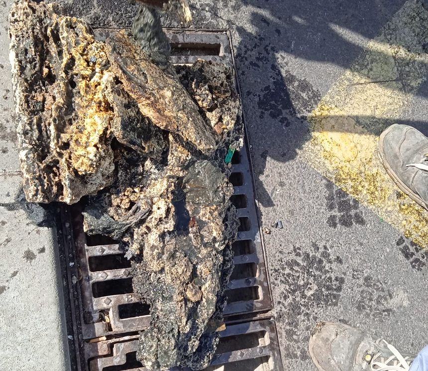 WhatsApp Image 2021-10-20 at 12.00.38