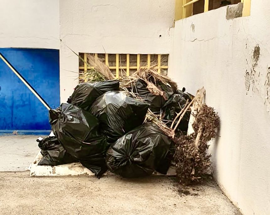 Parques_y_Jardines_01