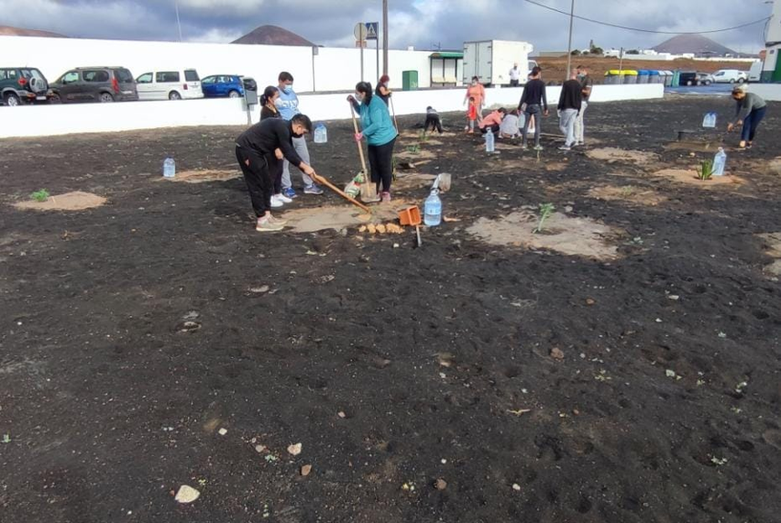 Maneje replantación