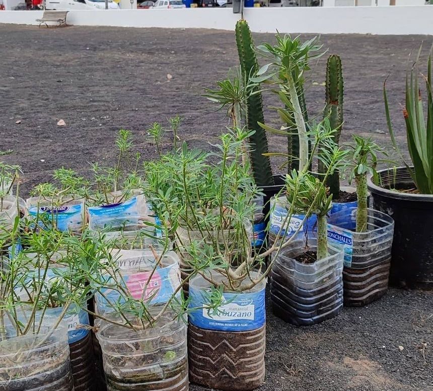 Replantación jardín de Maneje 1