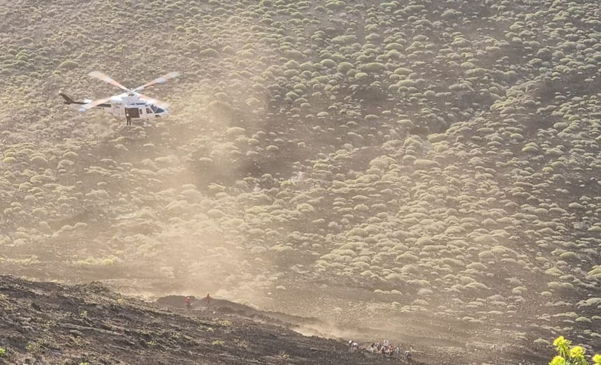 muerta helic dos