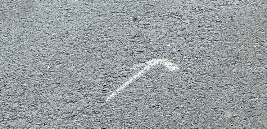 pintadas (3)