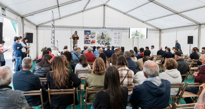 feria público