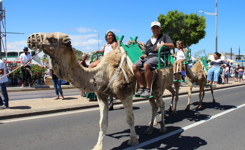 paseos a camello en Playa Blanca