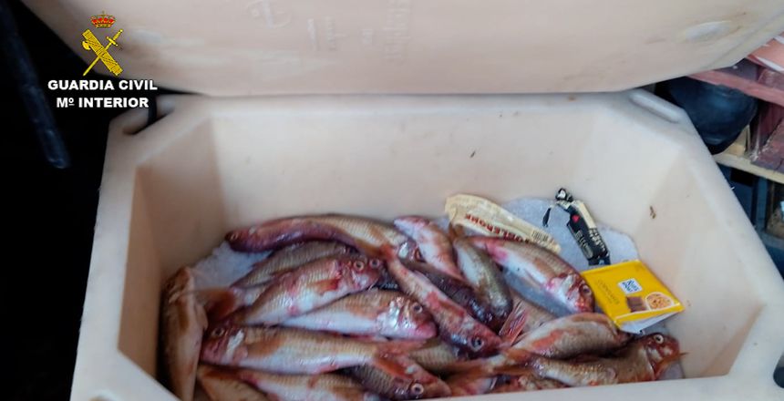 Imagen de alguna de las capturas que ponían a la venta.