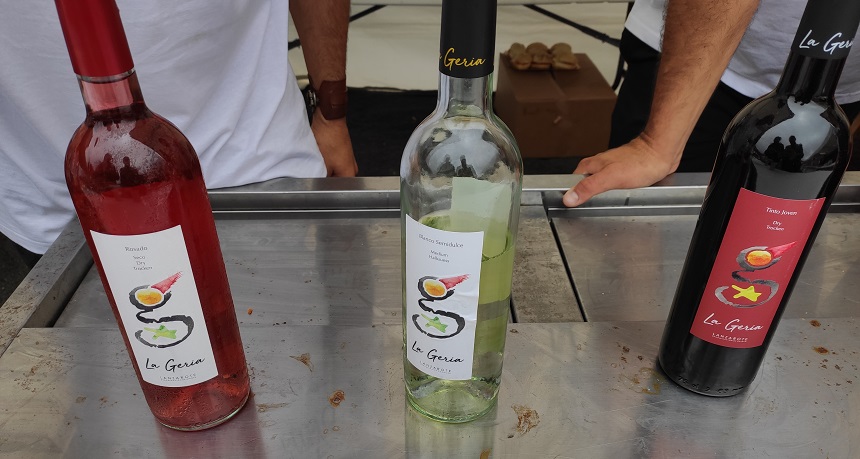 Imagen de algunos de los vinos que se podían degustar durante el festival.