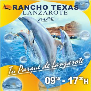 Publicidad 312656
