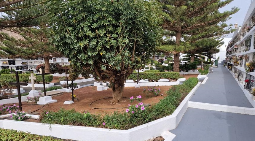 Imagen del cementerio de San Bartolomé preparado para el Día de Todos los Santos.
