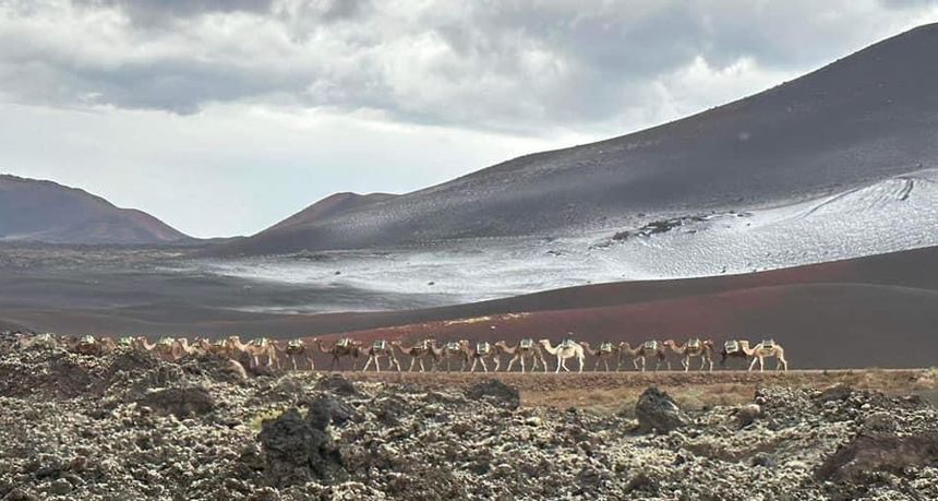 Preciosa estampa de Timanfaya con el granizo al fondo y los camellos haciendo su habitual recorrido