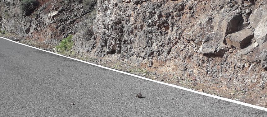 piedras dos