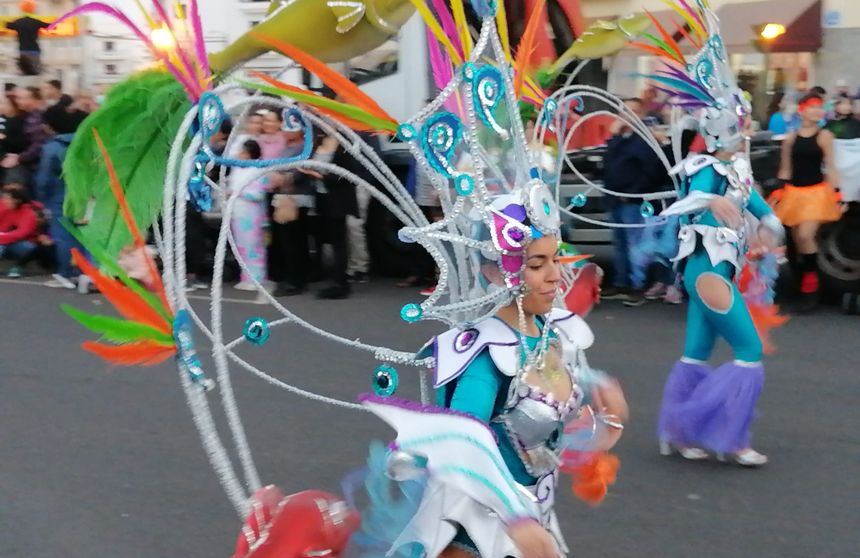 coso siete