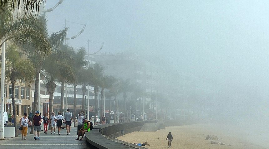 niebla