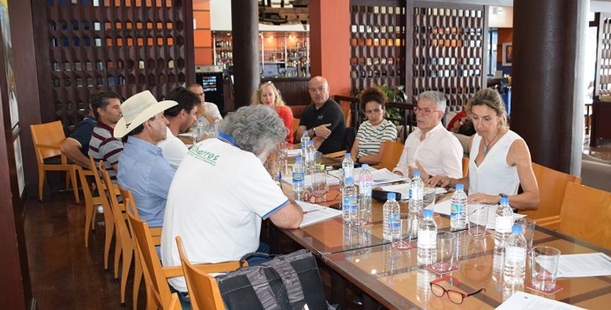 encuentro