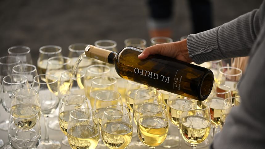 Experience Sonidos Liìquidos El Grifo, vinos