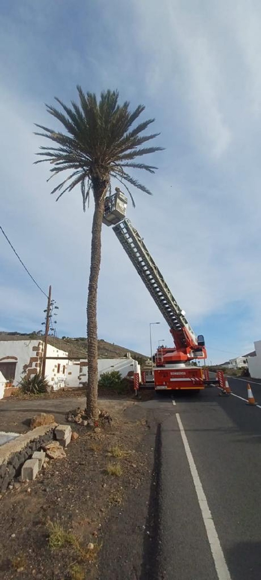Bombero procediendo a la tala de la palmera.