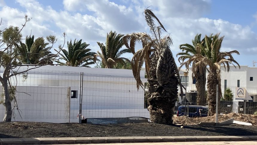 palme