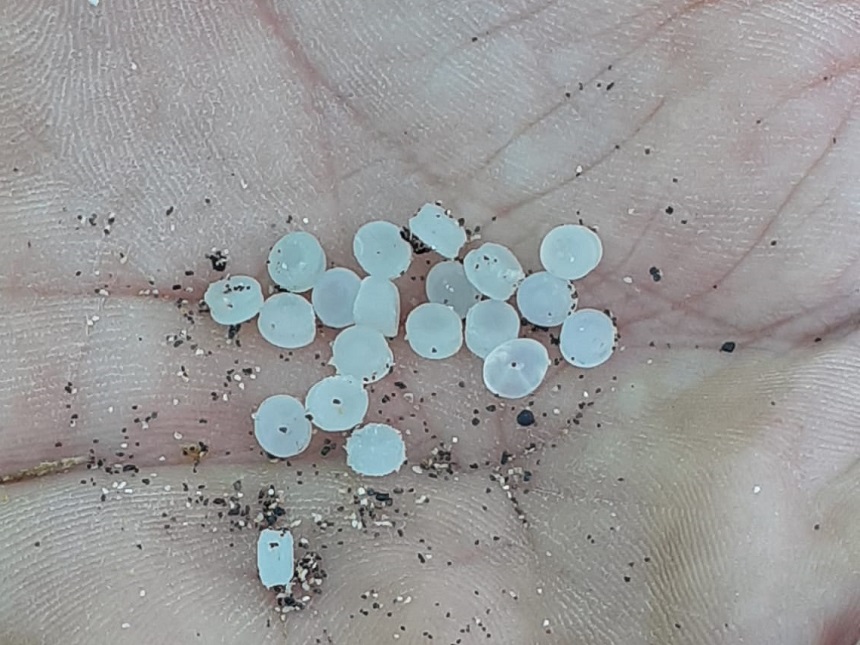 Gránulos de plástico localizados en la costa de Bajamar