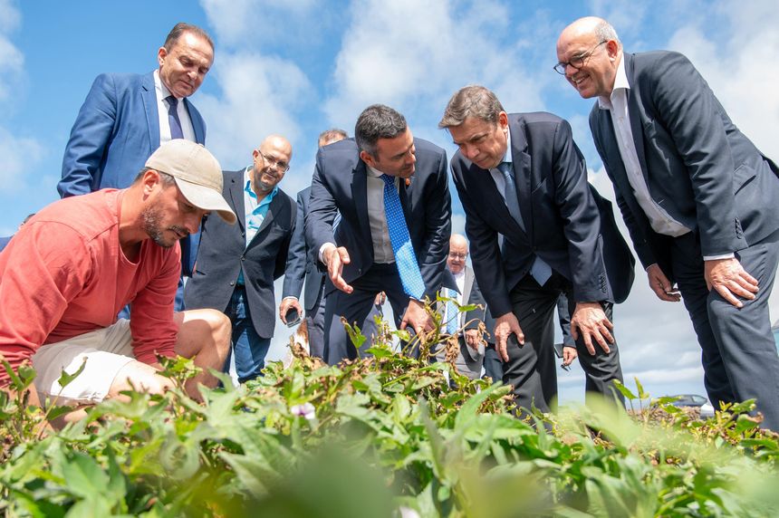 El ministro con el presidente del Cabildo interesándose por la agricultora local