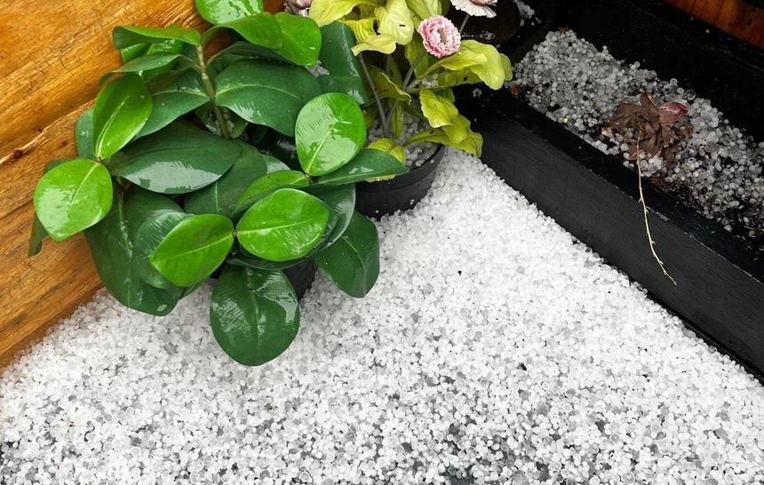 Granizo recogido en una casa de Lanzarote