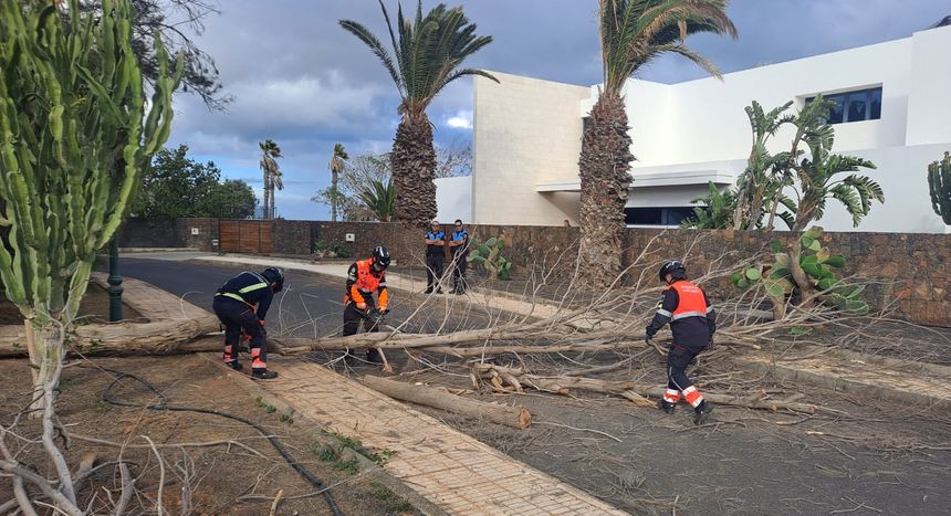 Los bomberos se emplearon a fondo para recoger el árbol