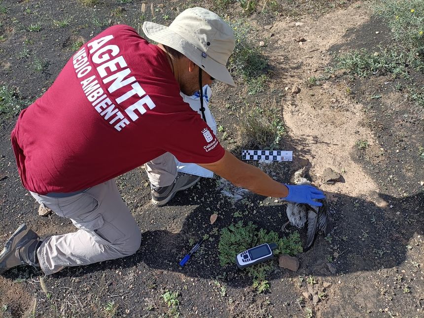 Uno de los agentes con un ave muerta
