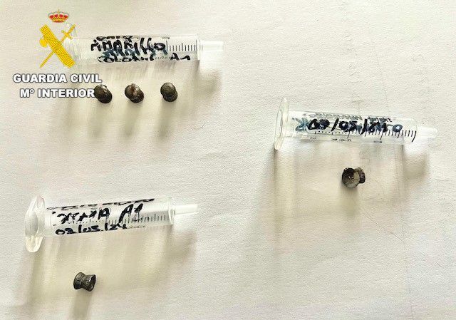 Balines utilizados por la persona detenida.