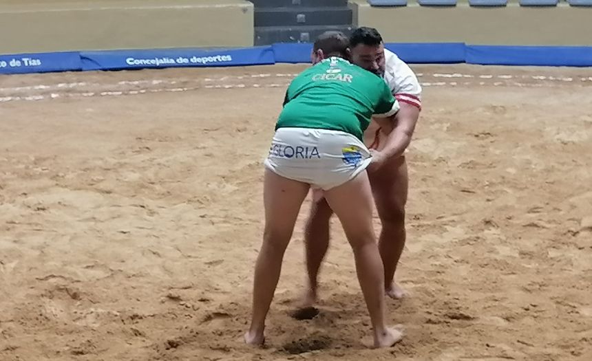 lucha seis