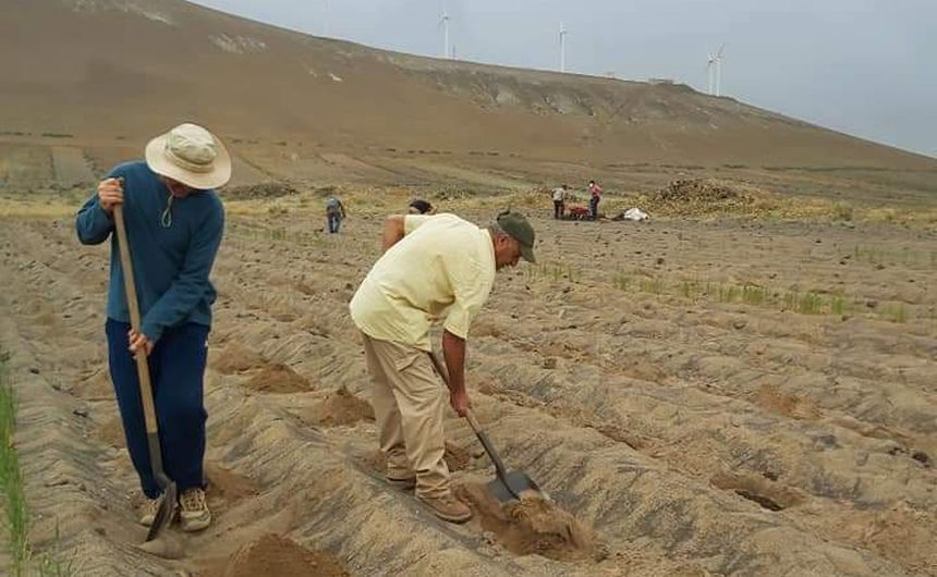 Trabajadores de El Jable.