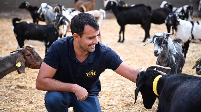 Omar Viña con algunos ejemplares caprinos de Lanzarote.
