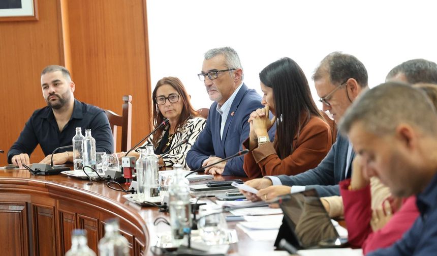 El consejero de Cultura, Jesús Machín, presidió la Comisión.
