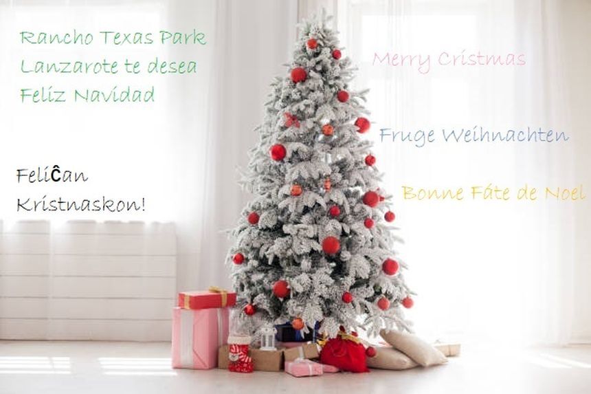Christmas Home Interior with White Christmas tree 1